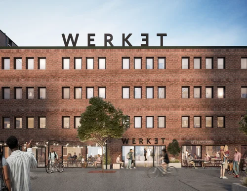 Werket x Carotte