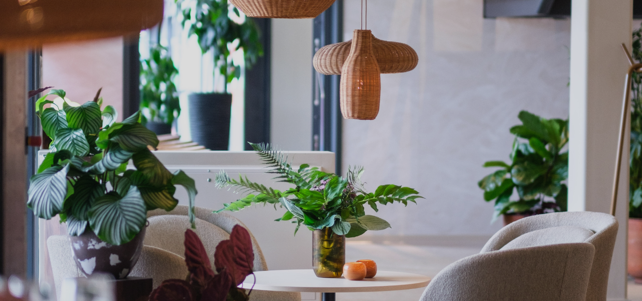 Leir 1280 x 600>