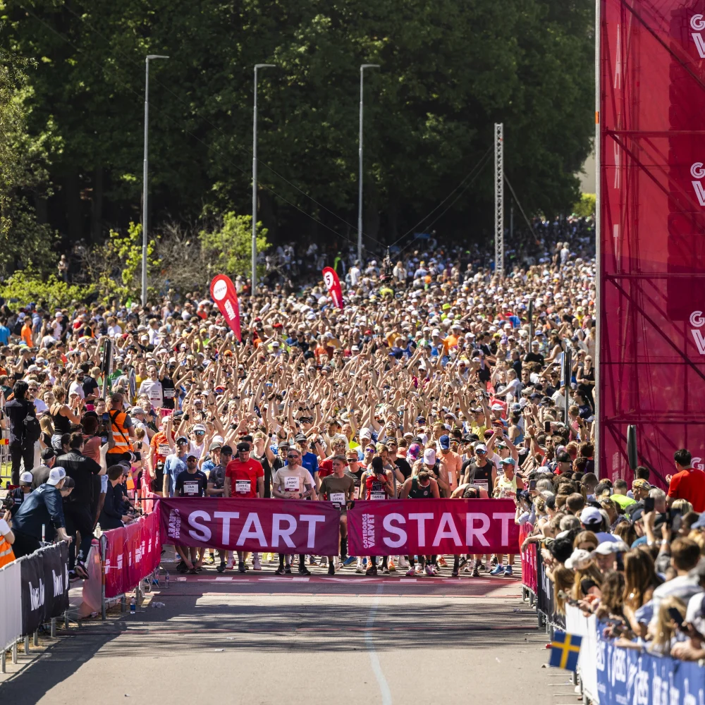 banner-img-varvet-deals-carotte